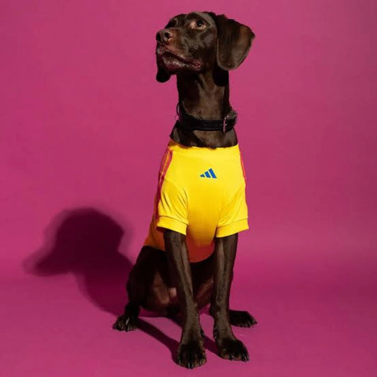 Pets Colombia 26/27 - Home