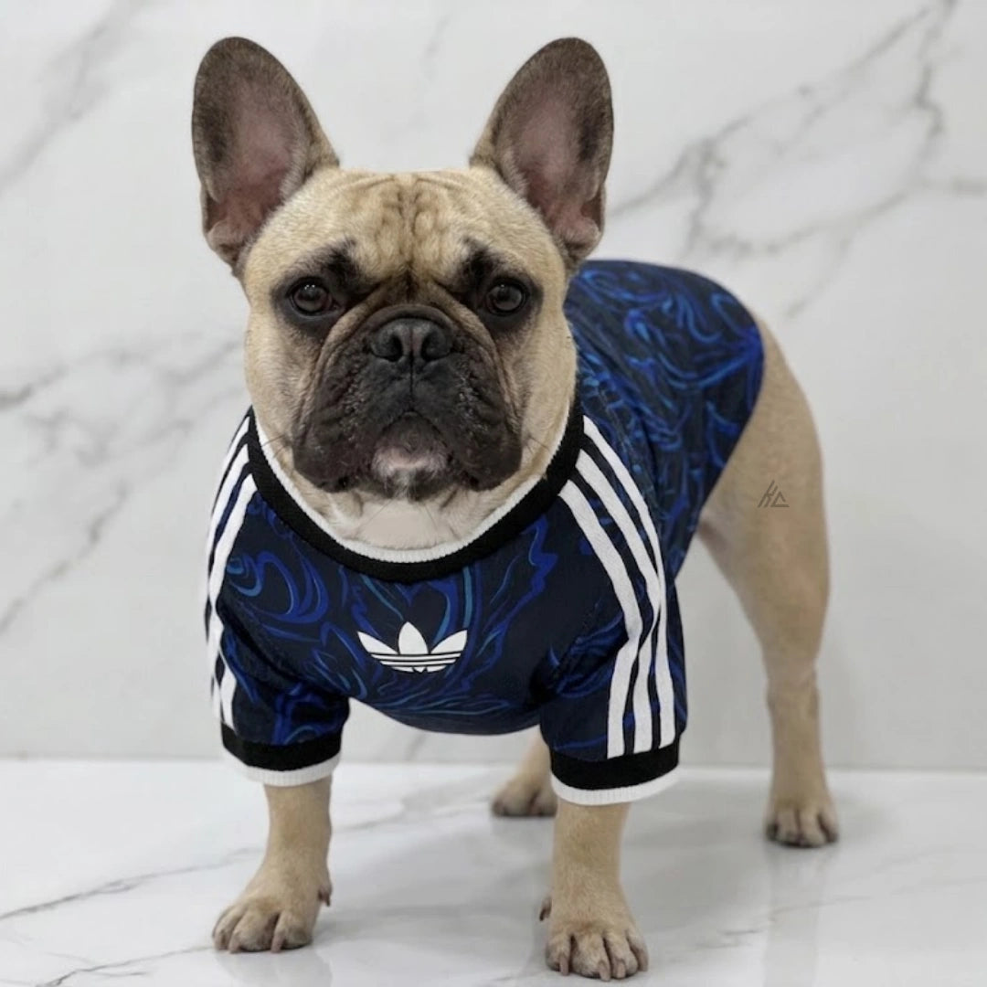 Pets Argentina 26/27 - Away