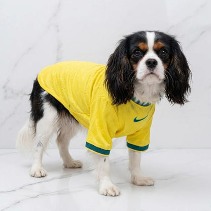 Pets Brazil 26/27 - Home