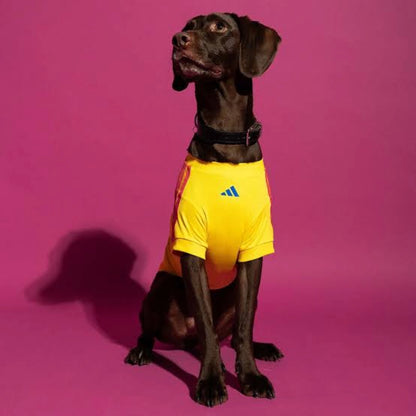 Pets Colombia 26/27 - Home