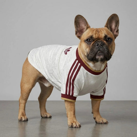 Pets Spain 26/27 - Away