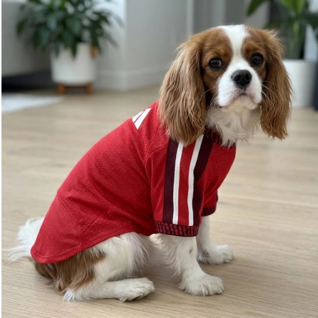 Pets Arsenal 26/27 - Home