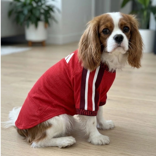 Pets Arsenal 26/27 - Home