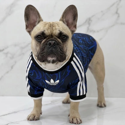 Pets Argentina 26/27 - Away